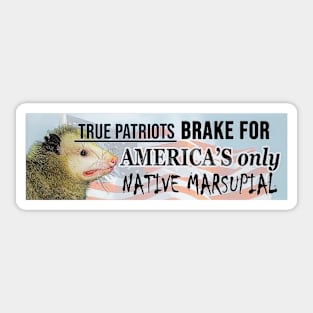 possum sticker - I brake for America's only native marsupial - funny opossum bumper sticke Sticker